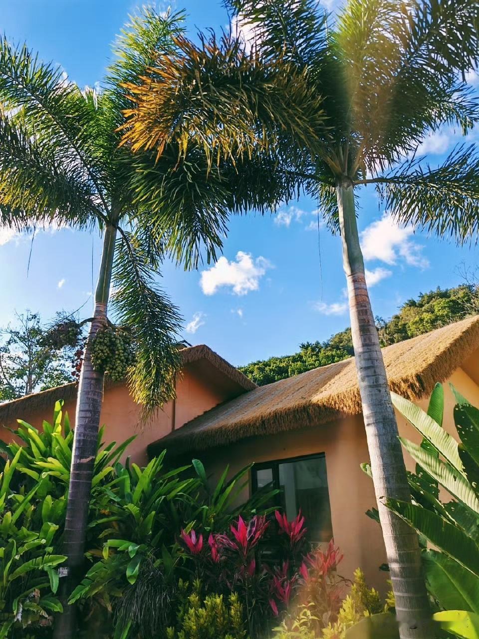 在祖国西南边陲，有一处宛如世外桃源般的存在——磨憨镇尚勇村磨站村小组。它是以哈尼