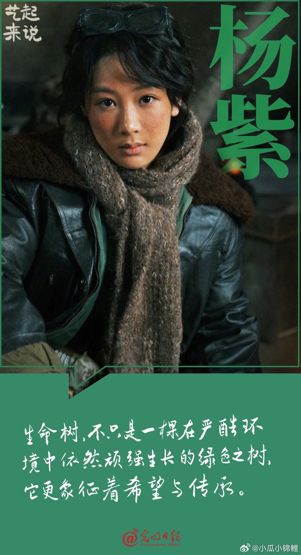 酷酷的白菊光明日报的文案真好 