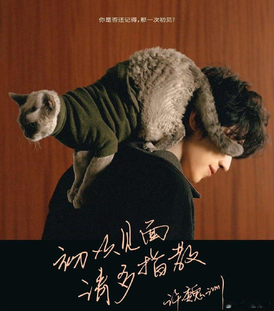 许魏洲完全是猫系啊 MV里的互动自然又温馨 没有刻意摆拍的感觉 就是主人和宠物的