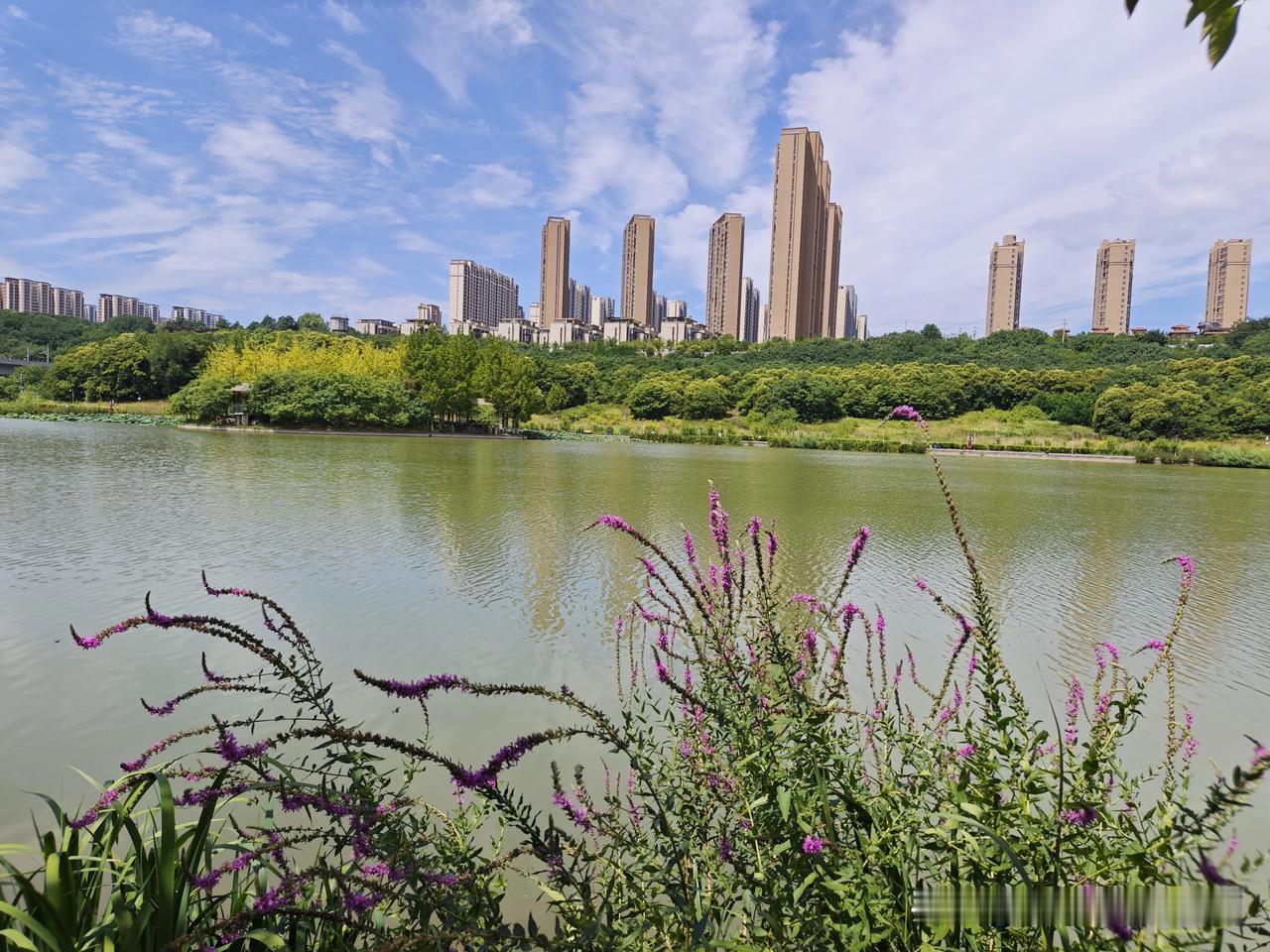 西安雁鸣湖休闲公园——位于西安浐灞生态区，总面积600多亩，系集湿地保护、运动休