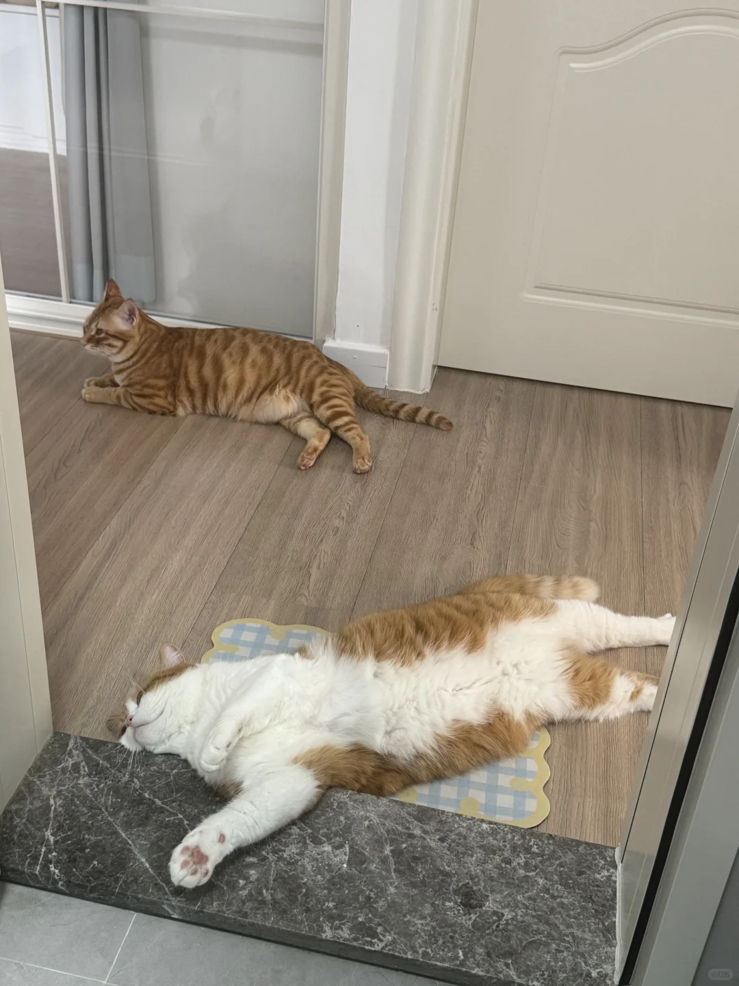 妈咪啊 你上厕所怎么那么久啊