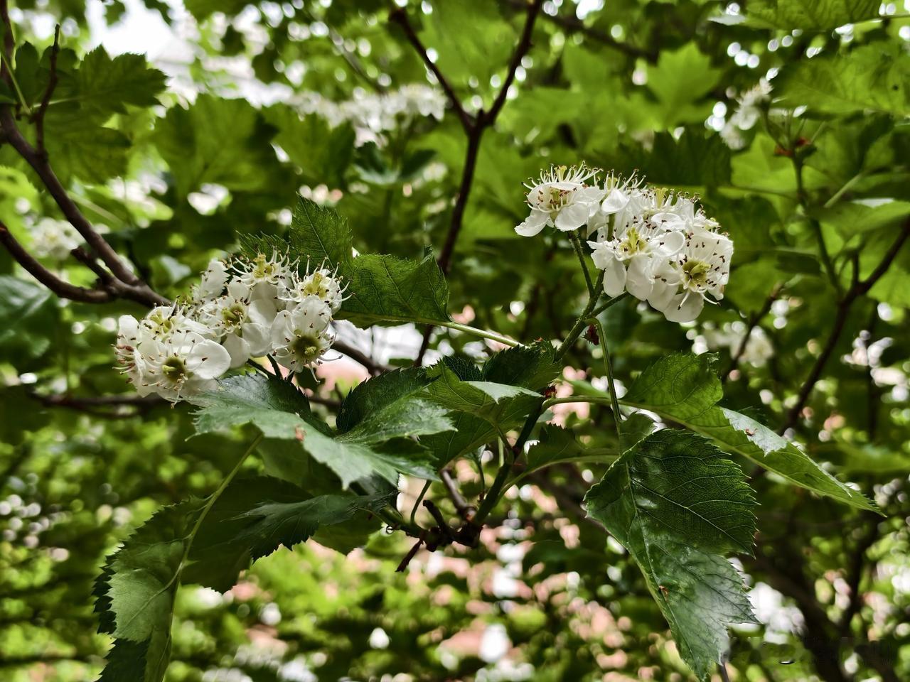 十年河东，十年河西，总结得还是很有道理的。

小时候，有两家亲戚，都过得很好，一