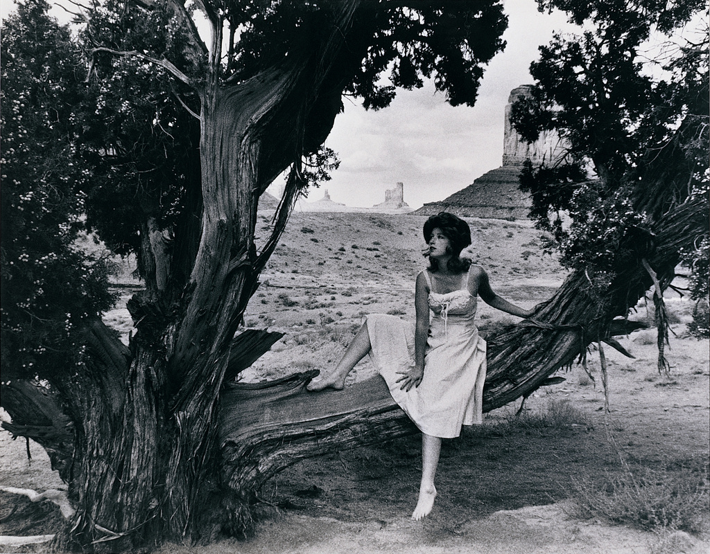 Cindy Sherman（Cynthia Morris Sherman，195