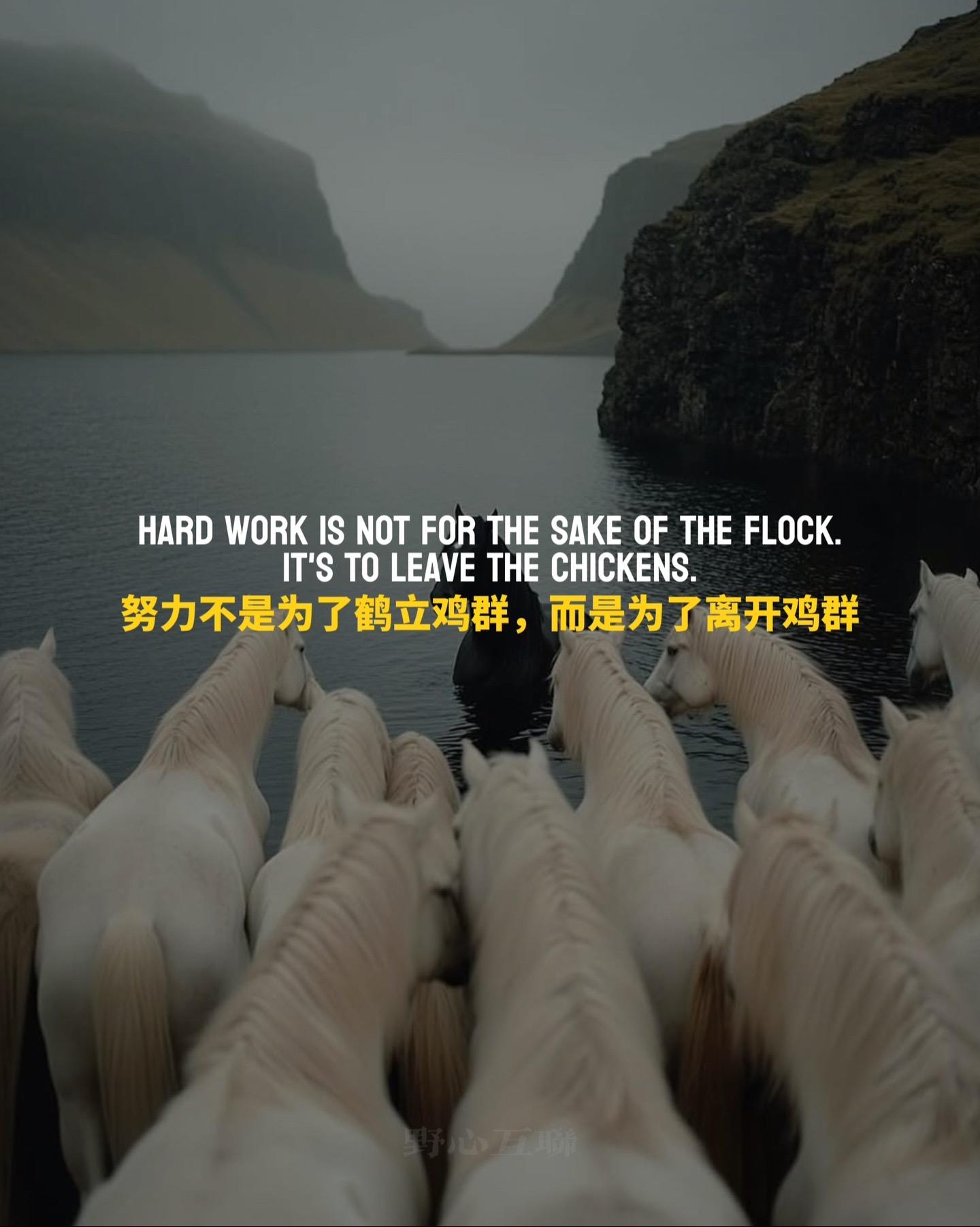 提升认知 改变命运 个人提升 深度思考 人生经验