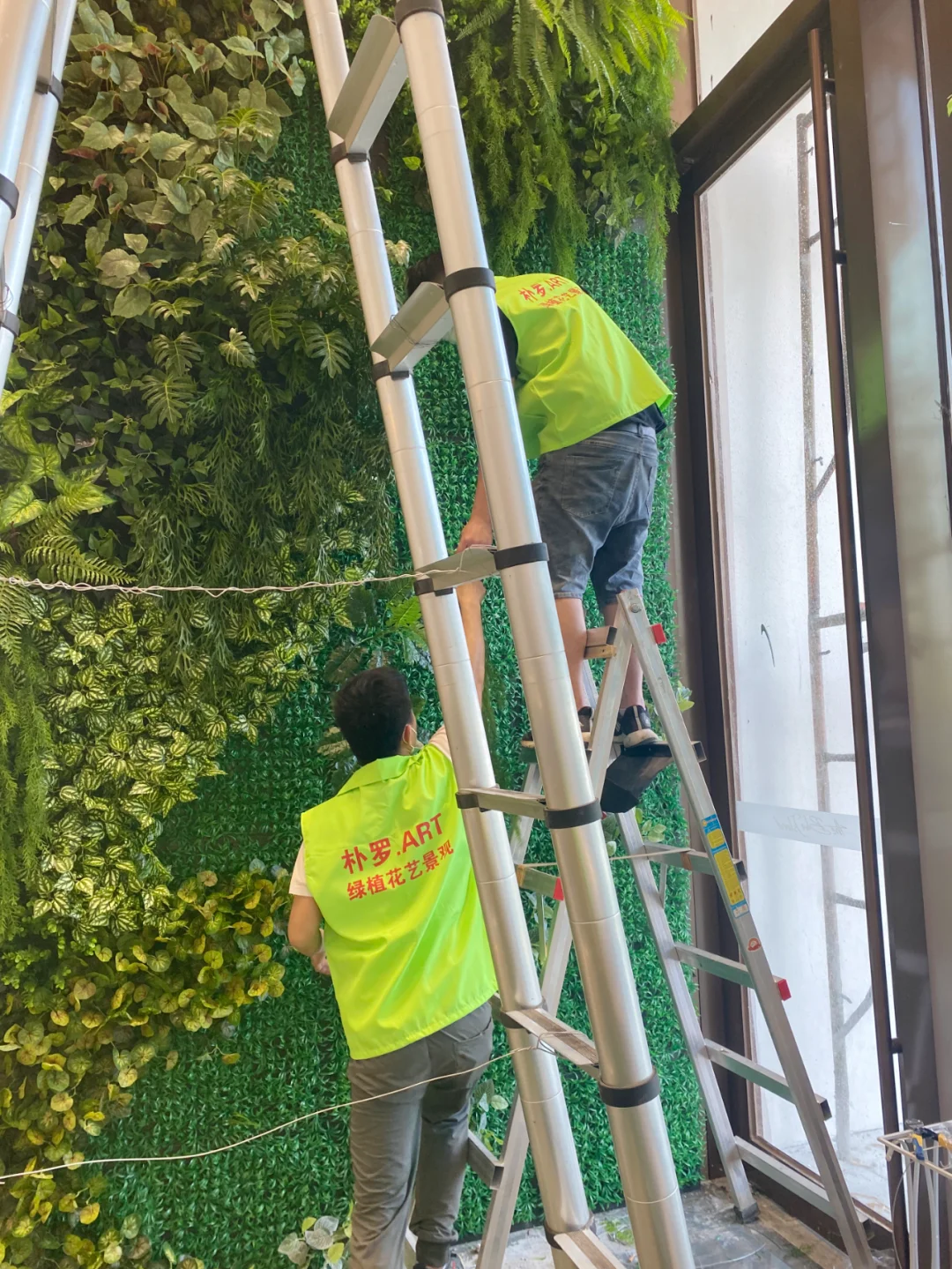 仿真绿植墙现场 作业