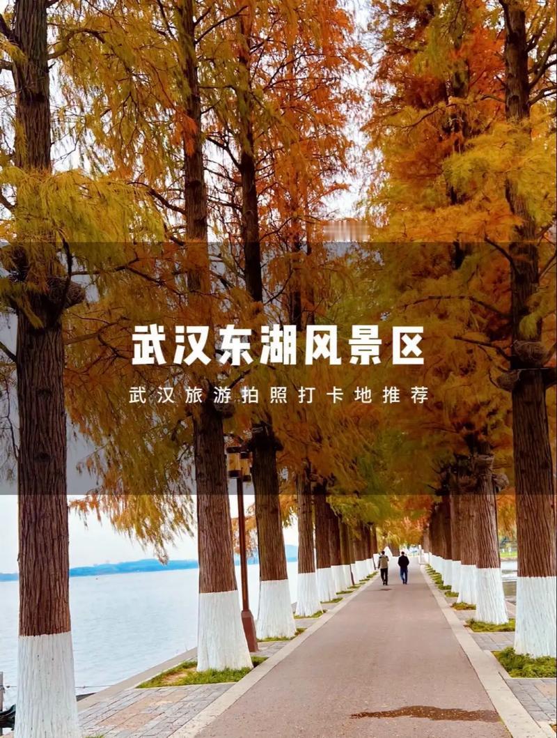 东湖风景区这波操作太贴心，全力护航冬日赏景之旅。随着赏梅季临近，多部门联合开展整