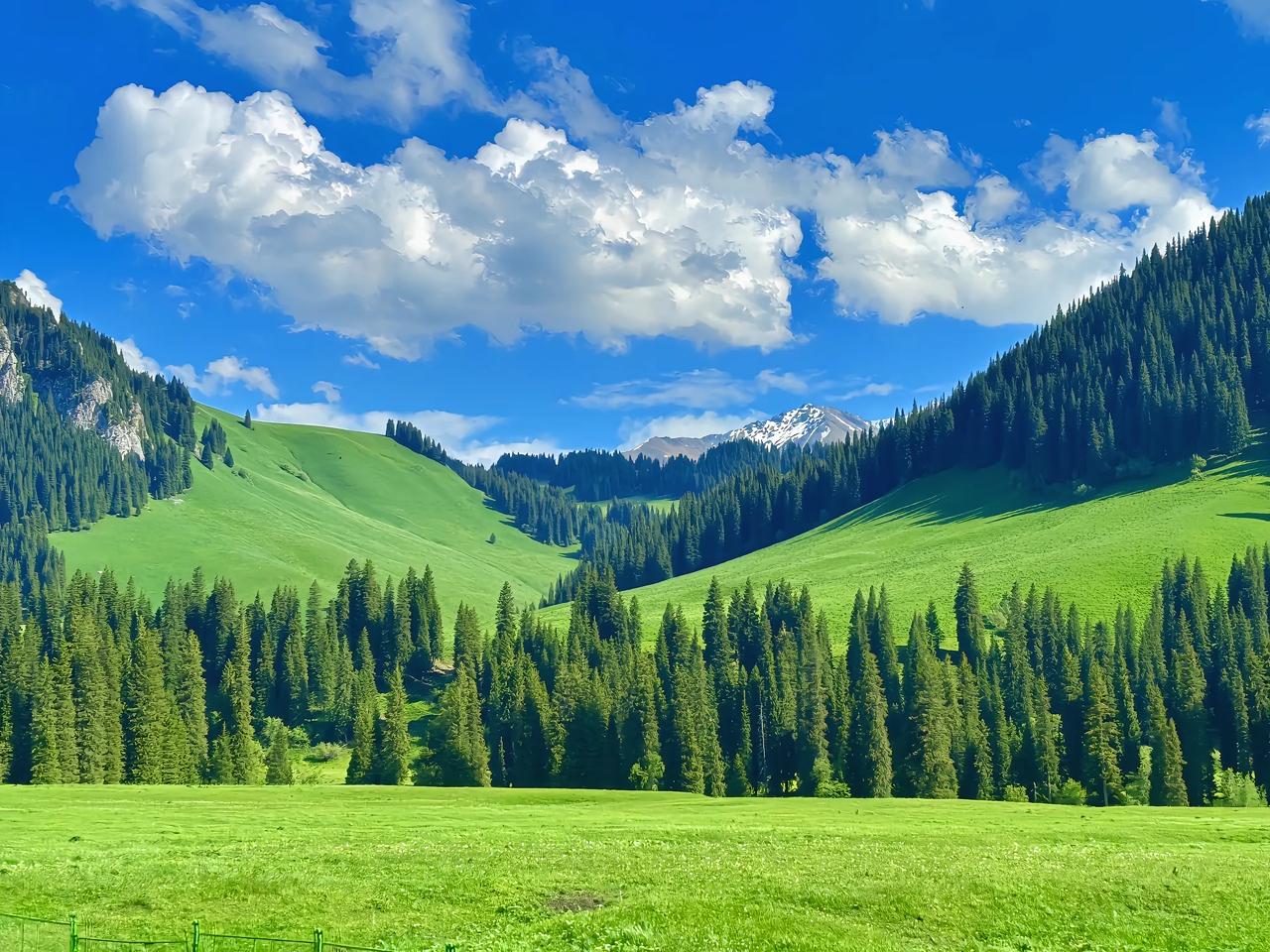 接待了一位南通的初中的学生家长，家长跟我沟通说，你们在南京，我们在南通，没办法给