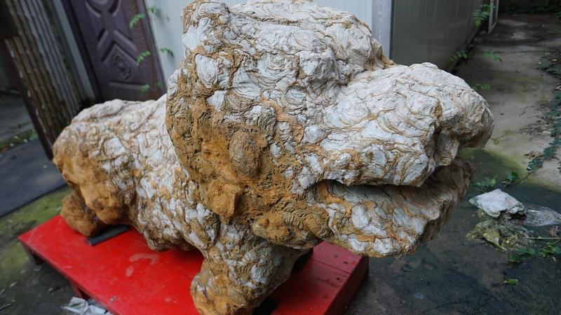 和人交往，我绝对更看重人品。在这个复杂的社会，金钱确实有它的便利，兜里有钱遇事不