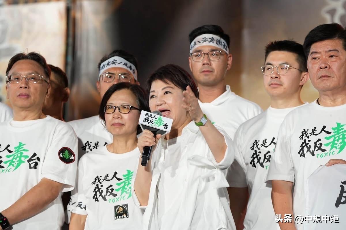 国民党台中市长卢秀燕今（25日）在脸书发文表示，今天晚上20万人今天站上凯道，“