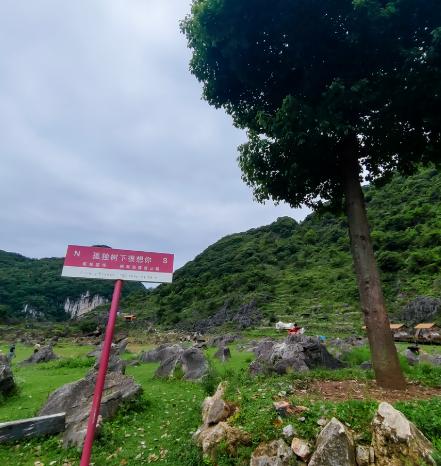 聊一所被很多人低估了的公办大专——安顺职业技术学院。
我知道，高考出分之后，很多