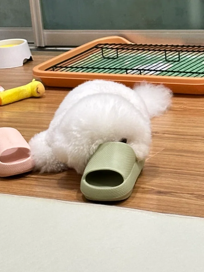 爸爸的味道很上头 我很喜欢