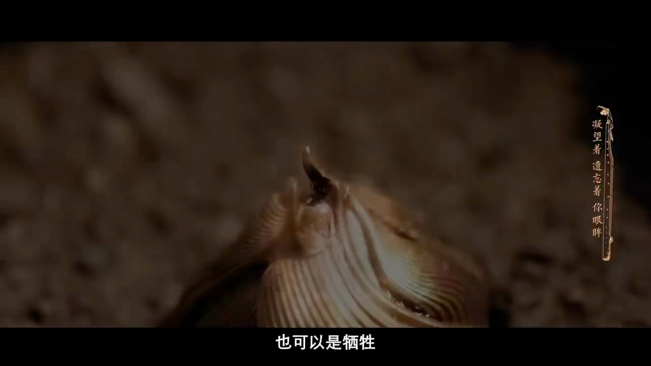 周深新歌洞箫作引周深冷风吹还没走出来又来了谁还没从《冷风吹》的情绪里走出来，周深