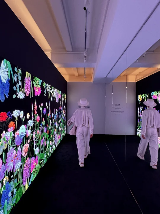 深圳新展，感受艺术与生活的多维碰撞！！