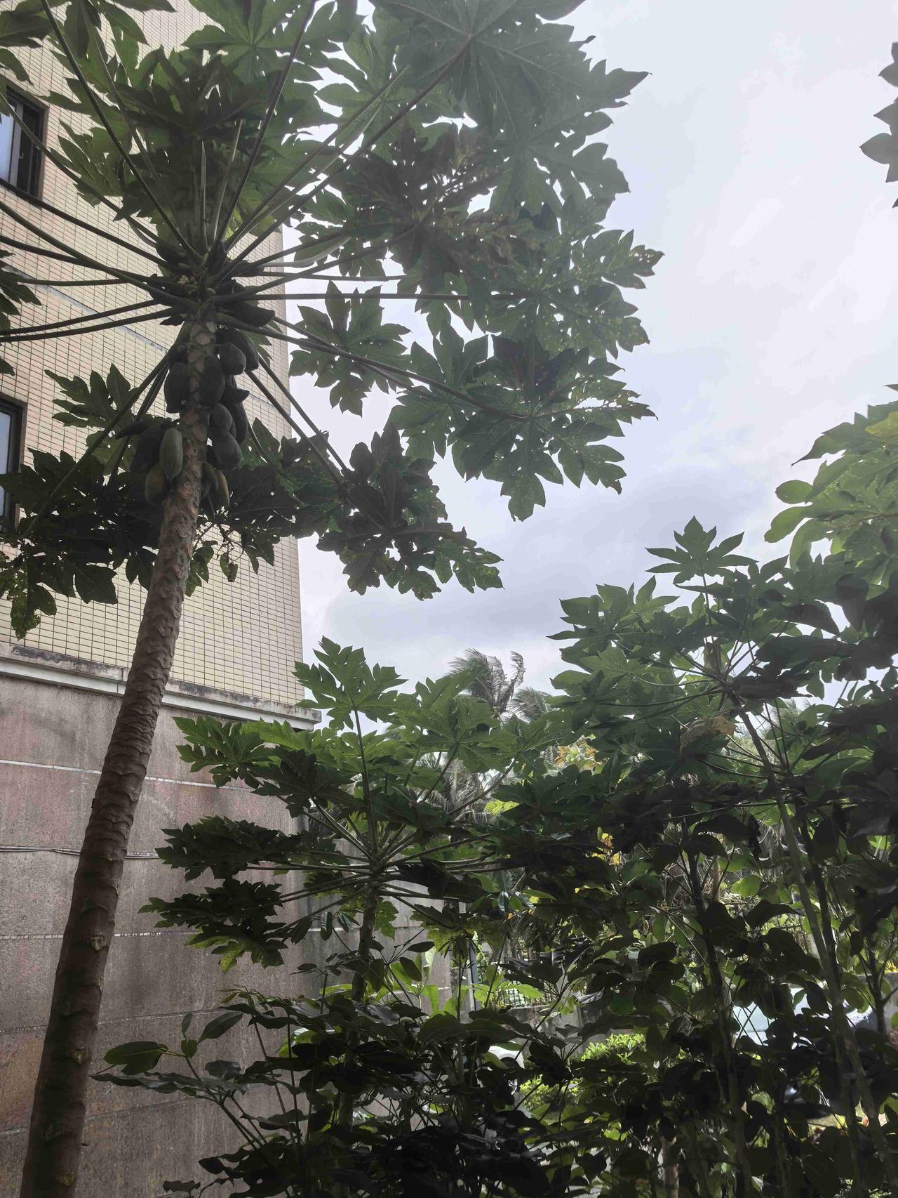 我的今日状态：😁轻松愉快
我这里的天气：☀️晴转多云