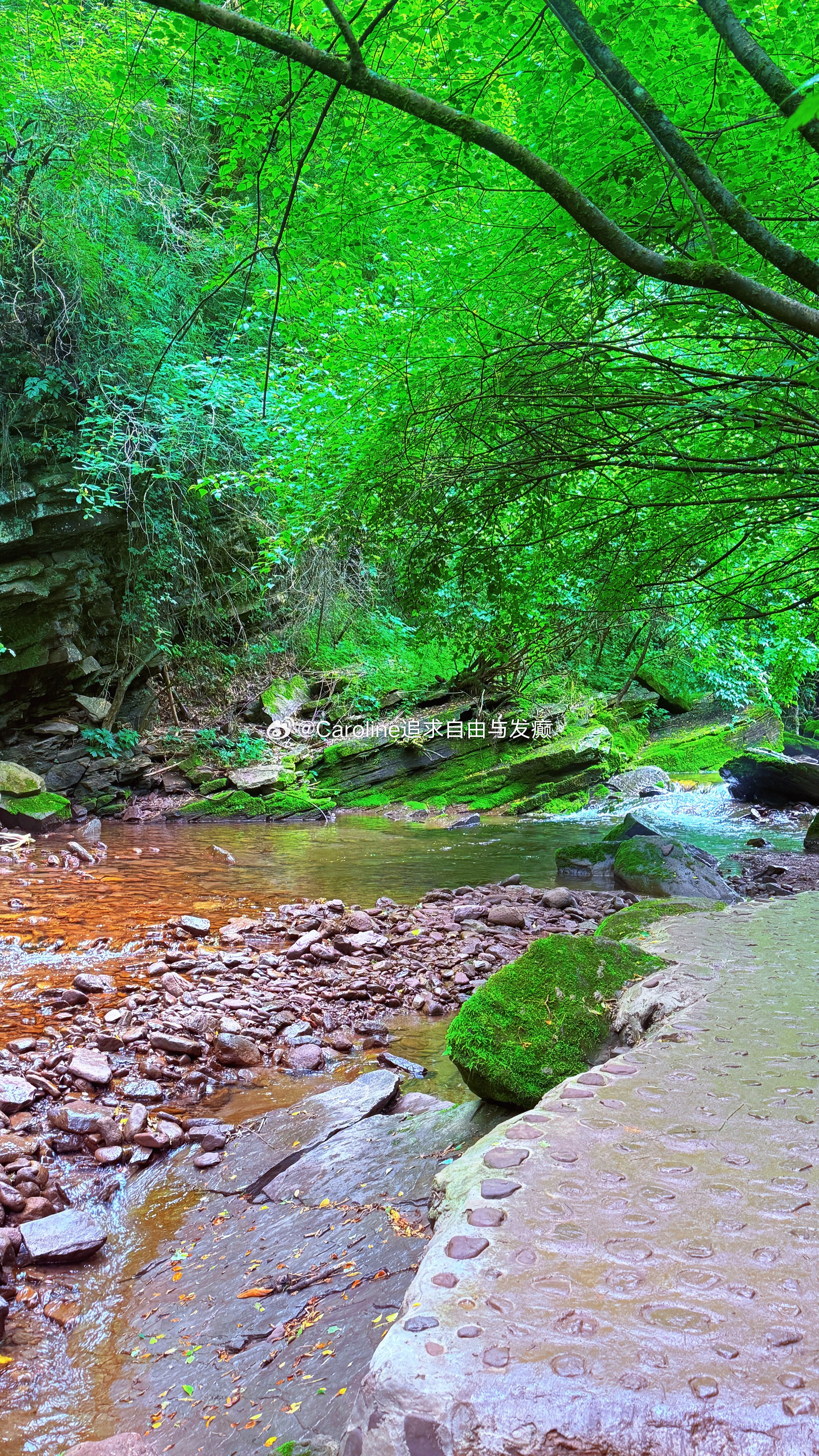 情绪低落时的解压方式我的方法就是看风景，接“地气”！每次看到美景就觉得自己好幸福