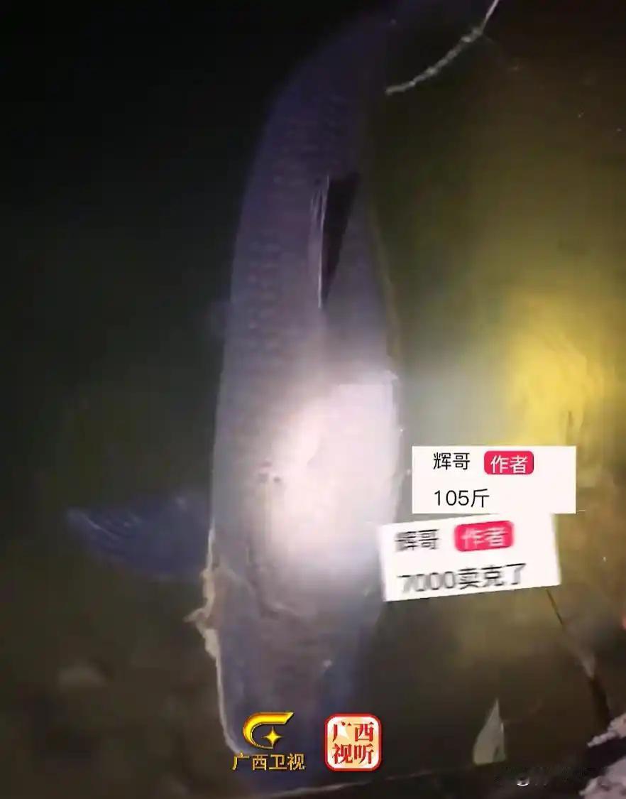 这其实也是透着人间烟火气，每个人都需要生活，因为活着不易，需要付出，钓鱼人获得了