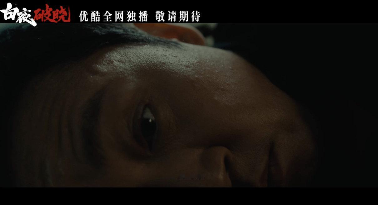 我既是关宏宇也是关宏峰  《白夜破晓》也算是把替身文学给拿捏住了，根本无法想象这