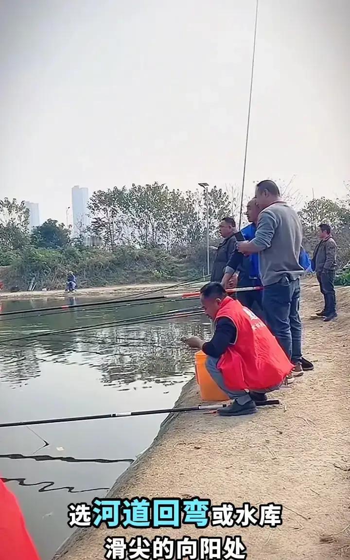 12月11日，周四。
 
当大多数人还在工位上为了年底KPI焦头烂额时，另一群“