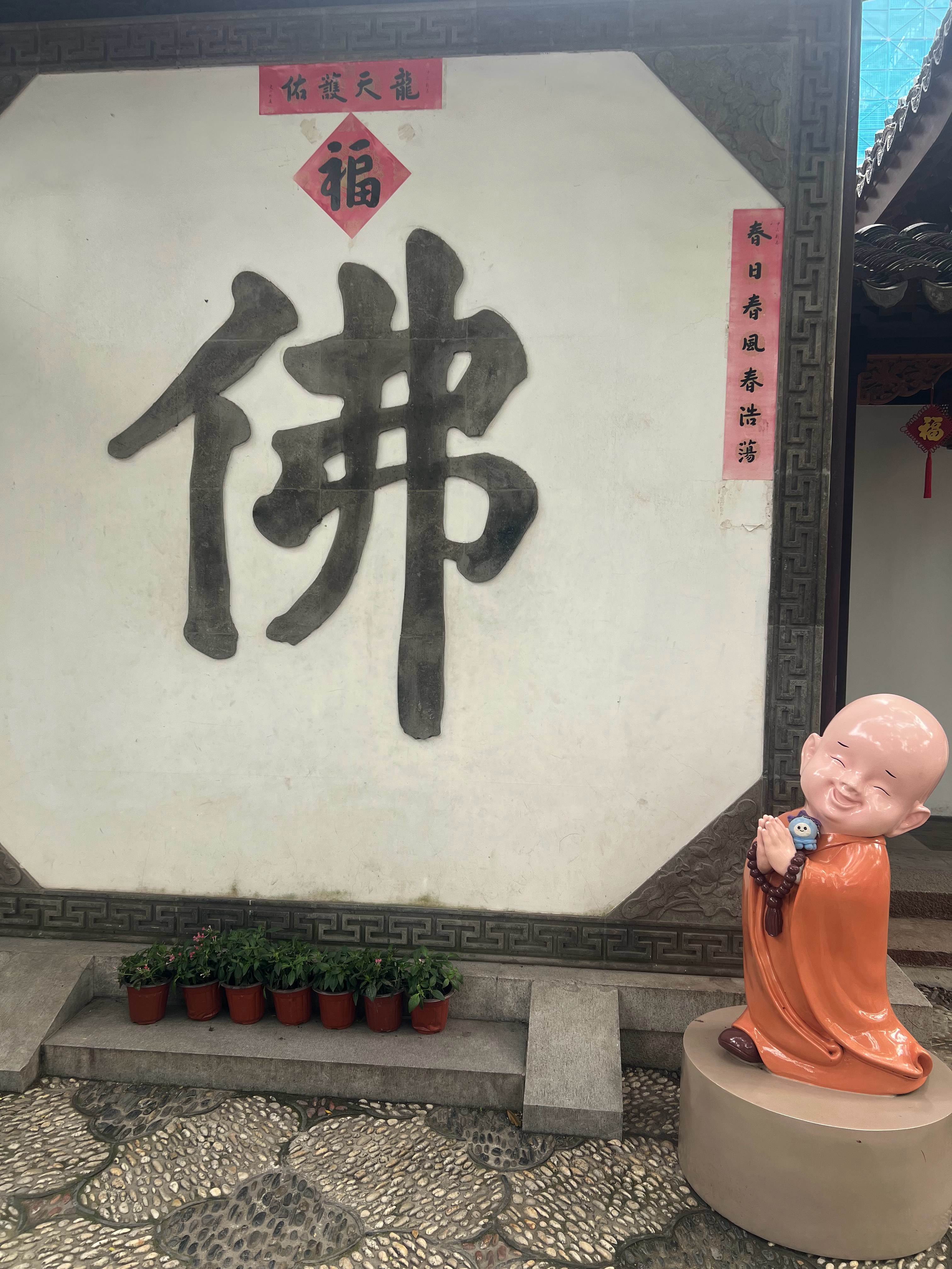 分享图片 ​​​