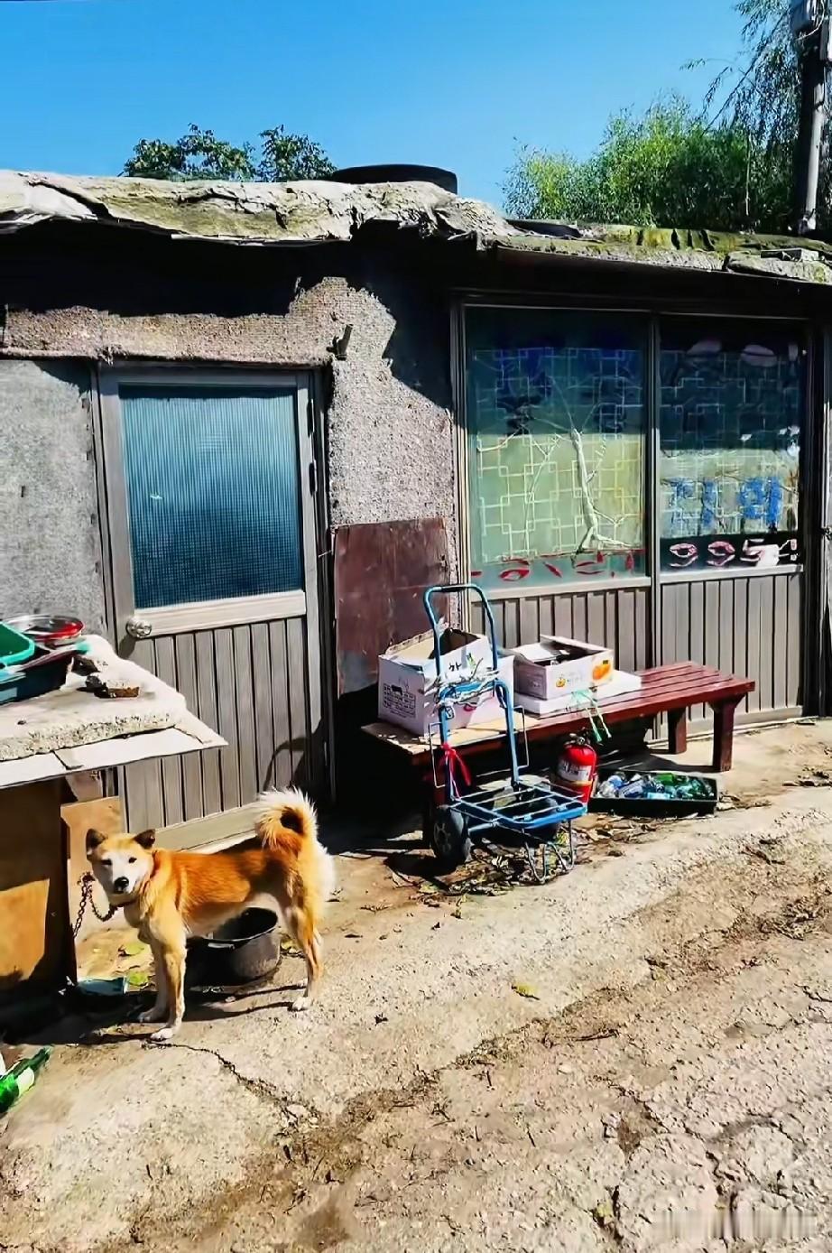 韩国首尔的城中村令很多外国人惊讶，提起首尔，世人脑海里浮现的永远是江南区鳞次栉比