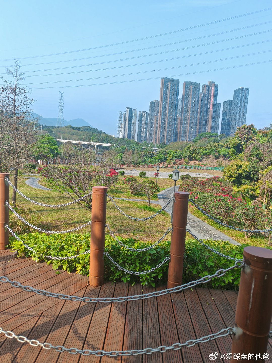 有粉丝吗？求偶遇！ 深圳·寄山公园