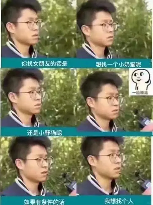 我想找个人哈哈哈哈哈哈哈搞笑图片梗图合集