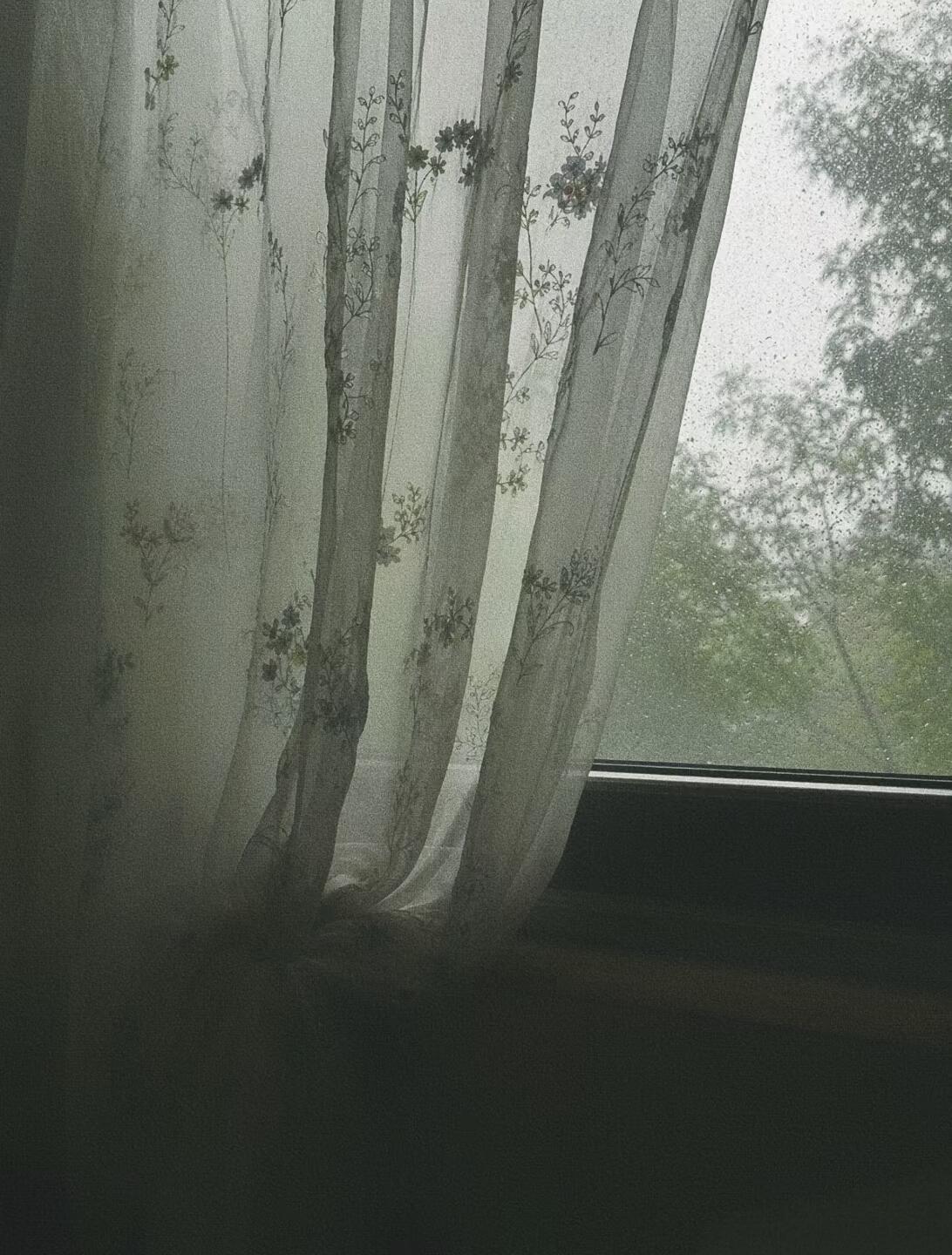 【背景图】分享˚₊✯͡ 🜚 *·.绿色|米色|雨季|文艺|清冷|百合|窗景|高