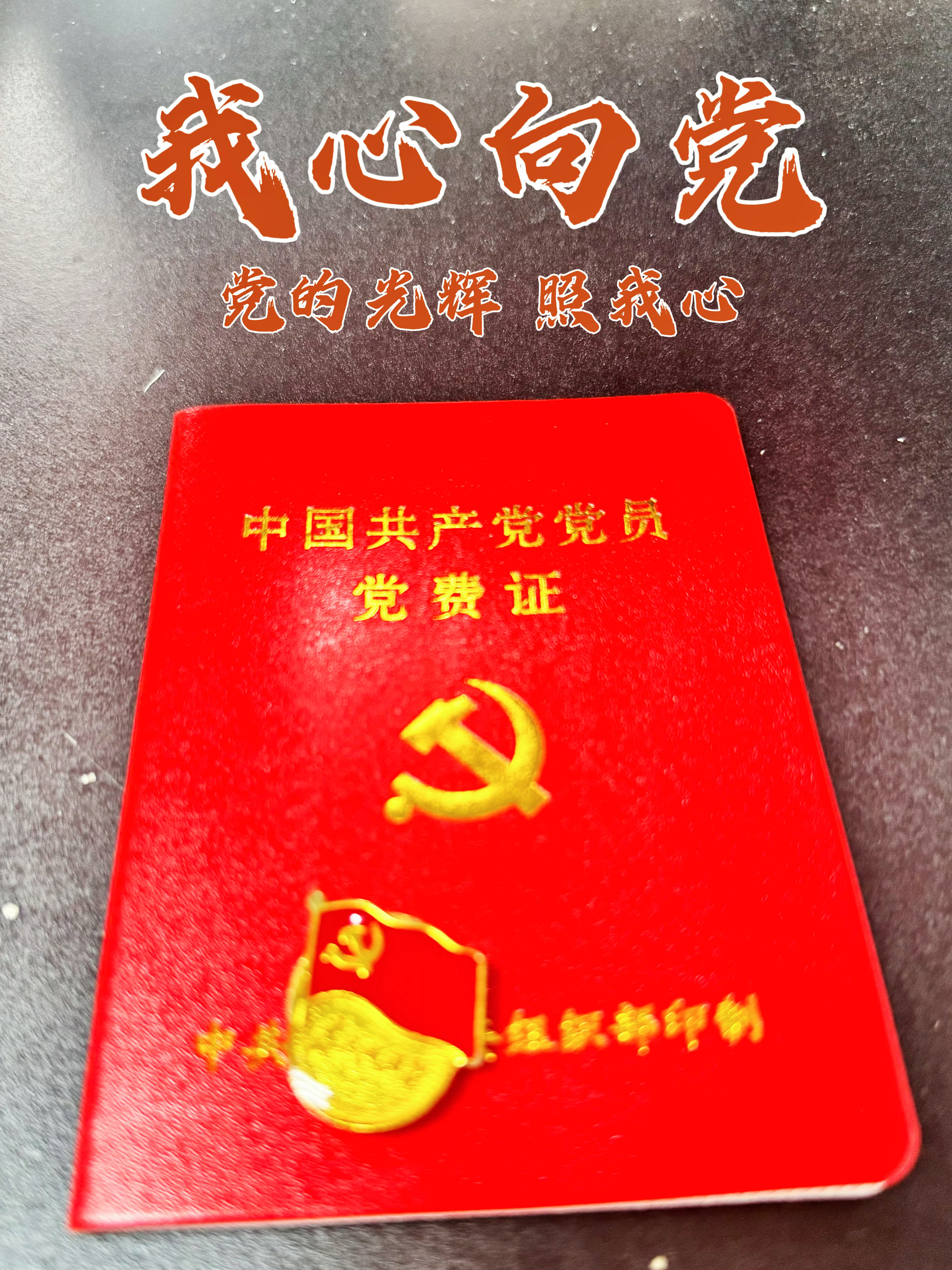 七一党的光辉照前路，此生不渝跟党走共贺党的诞辰，沐光前行 