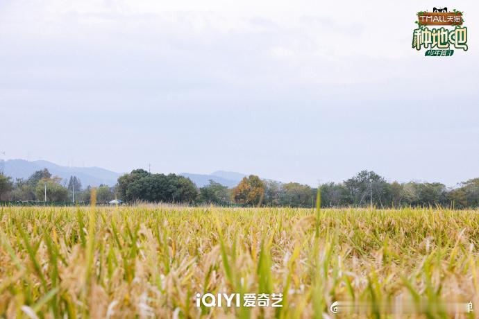 种地吧带大家看看后陡门  种地吧看看熟悉的后陡门  看到后陡门，满满的都是回忆。