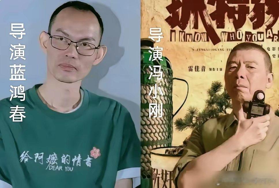 1.9亿的投资，冯小刚、雷佳音、胡歌的王炸组合，干不过一部成本1400万的素人电