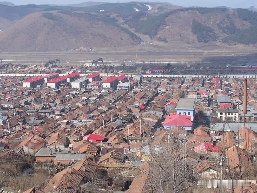 我的家在东北黑龙江，尽管那里冬天很冷，但是那里的人也像东北的天气一样，爱憎分明，