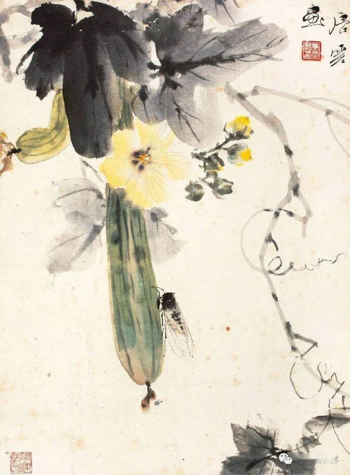 分享一张花的照片