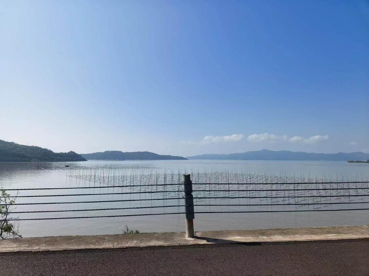 秋日生活打卡季