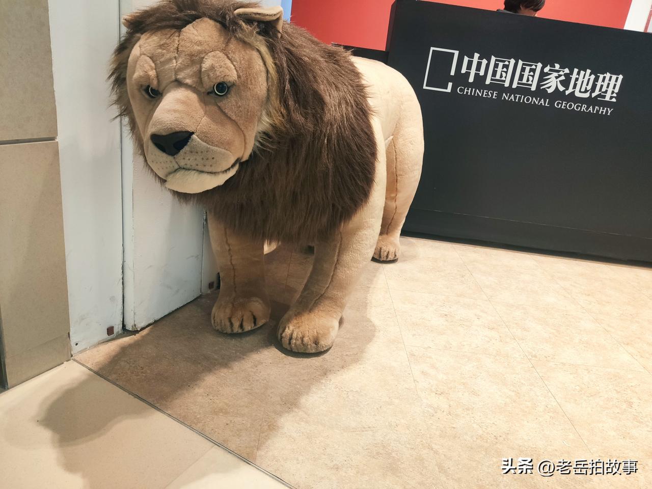 今天在街头看到两个骑电动车路人发生轻微碰撞后，互不相让，但都没有意识到自己的错误