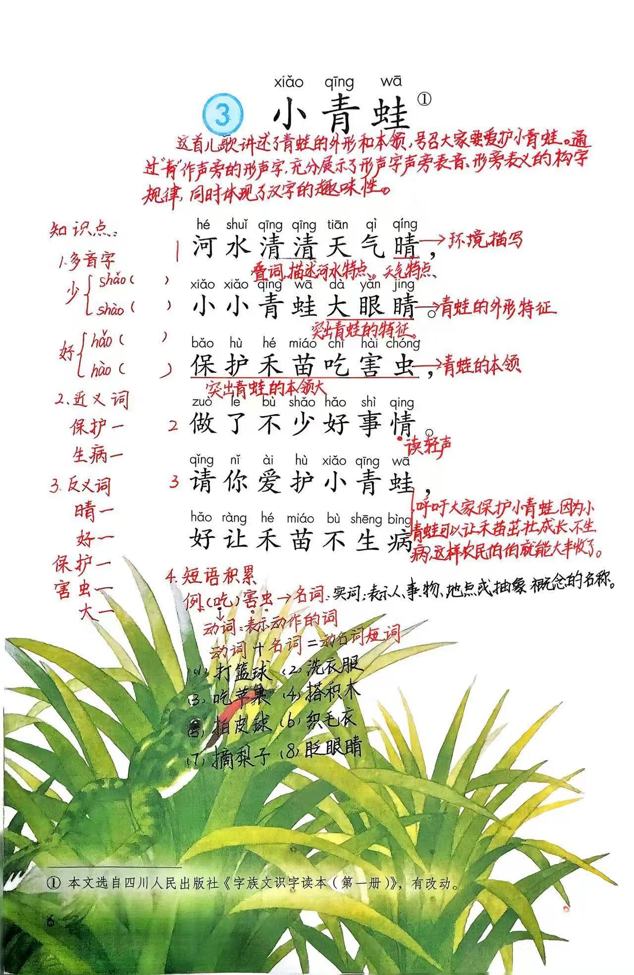 新版一下语文第3课：《小青蛙》课堂笔记