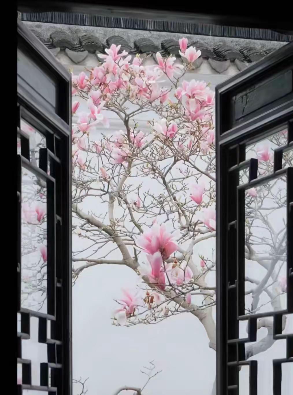 半程 我把半生，折成一枚书签。夹在岁月的扉页中间。前半卷，是风雨的行旅，也是未竟