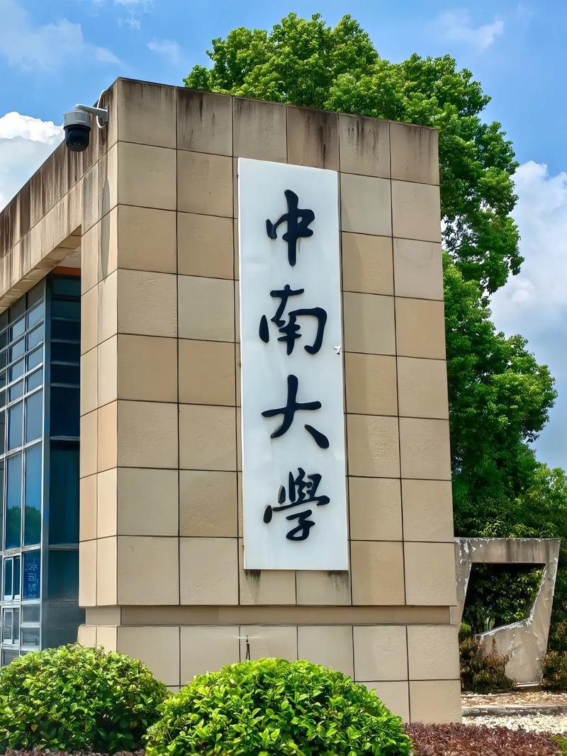 中南大学和湖南大学都是长沙985/双一流，同档次但赛道不同，没有绝对好坏，只看适