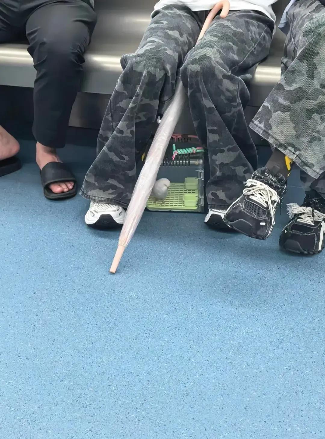 这玩意儿能让上地铁吗？