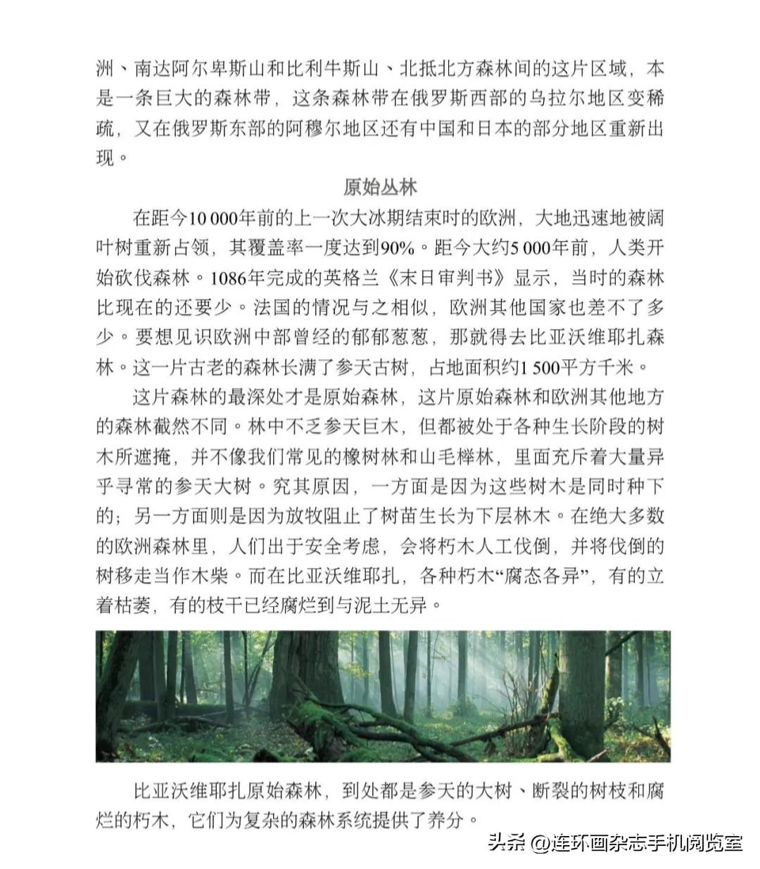 《地球脉动》拾页07〔其它〕