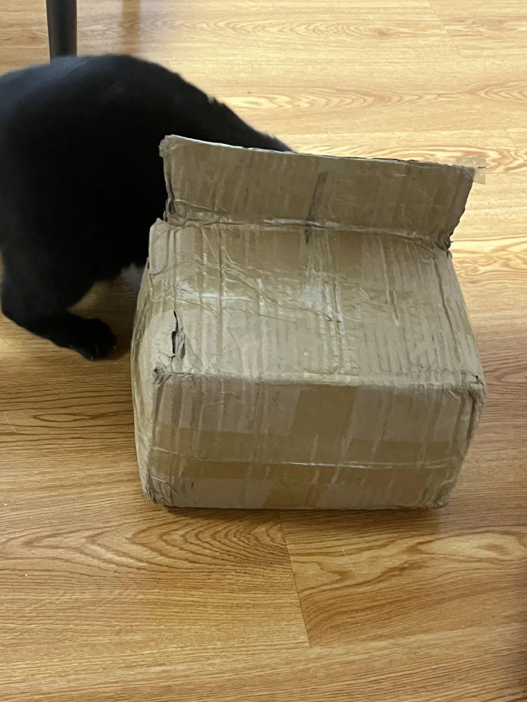 再贵的玩具都不如纸板箱