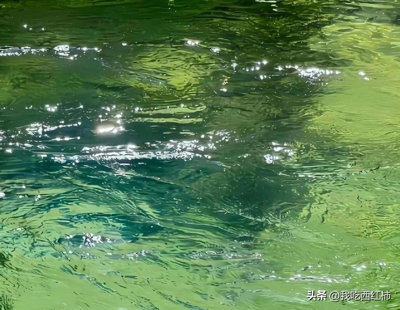 假装已婚已育入职结果怀孕
怎么办，因为工作不好找，实在不得已在部门领导面试时说了