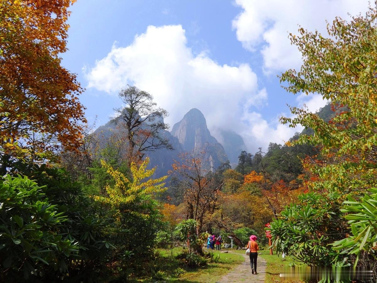 我注册资本一元钱，是不是风险最小呢？这是有意规避责任风险的行为，反而更有问题。非