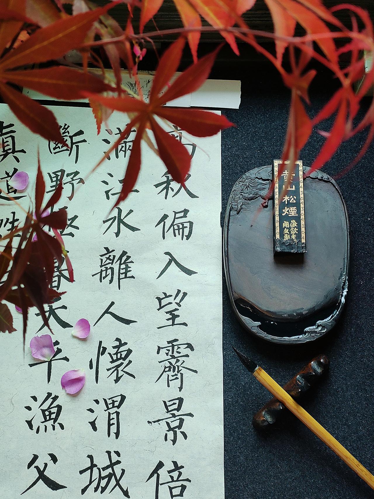 落木满江水，离人怀渭城。柳体书法 传统文化写字是一种生活 温柔以待所有遇见 @D