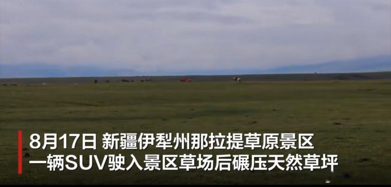 越野车碾压草原被拦截时加速逃窜该游客驾车反复碾压那拉提草原（来回六七趟），对极其