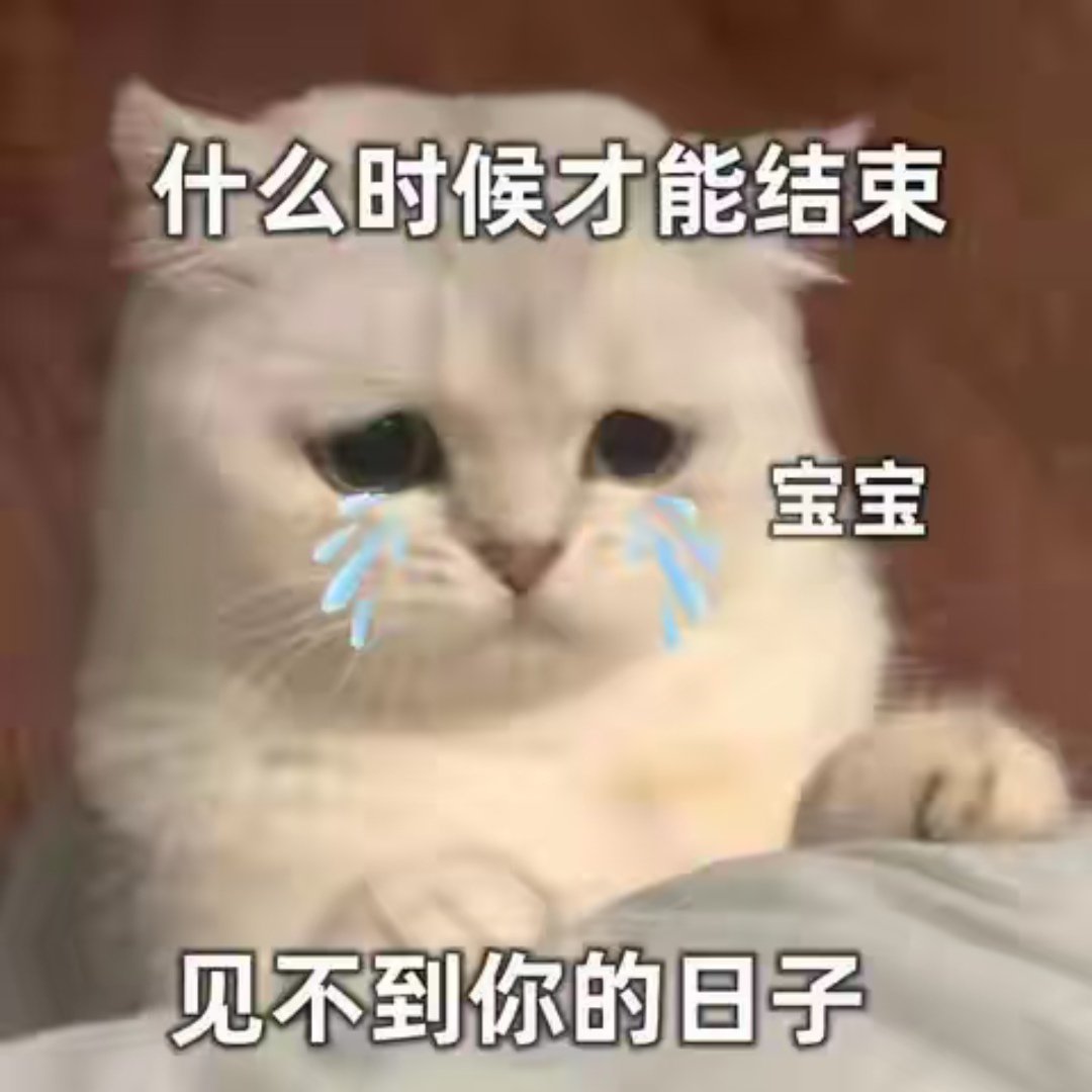 鑫情： 曝TF家族运动会分组名单