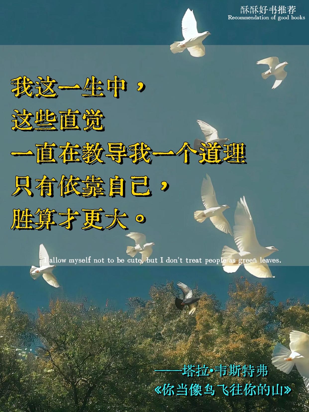 你当像鸟飞往你的山。原生家庭像沉重枷锁，自我成长似崎岖险途。但这本书...