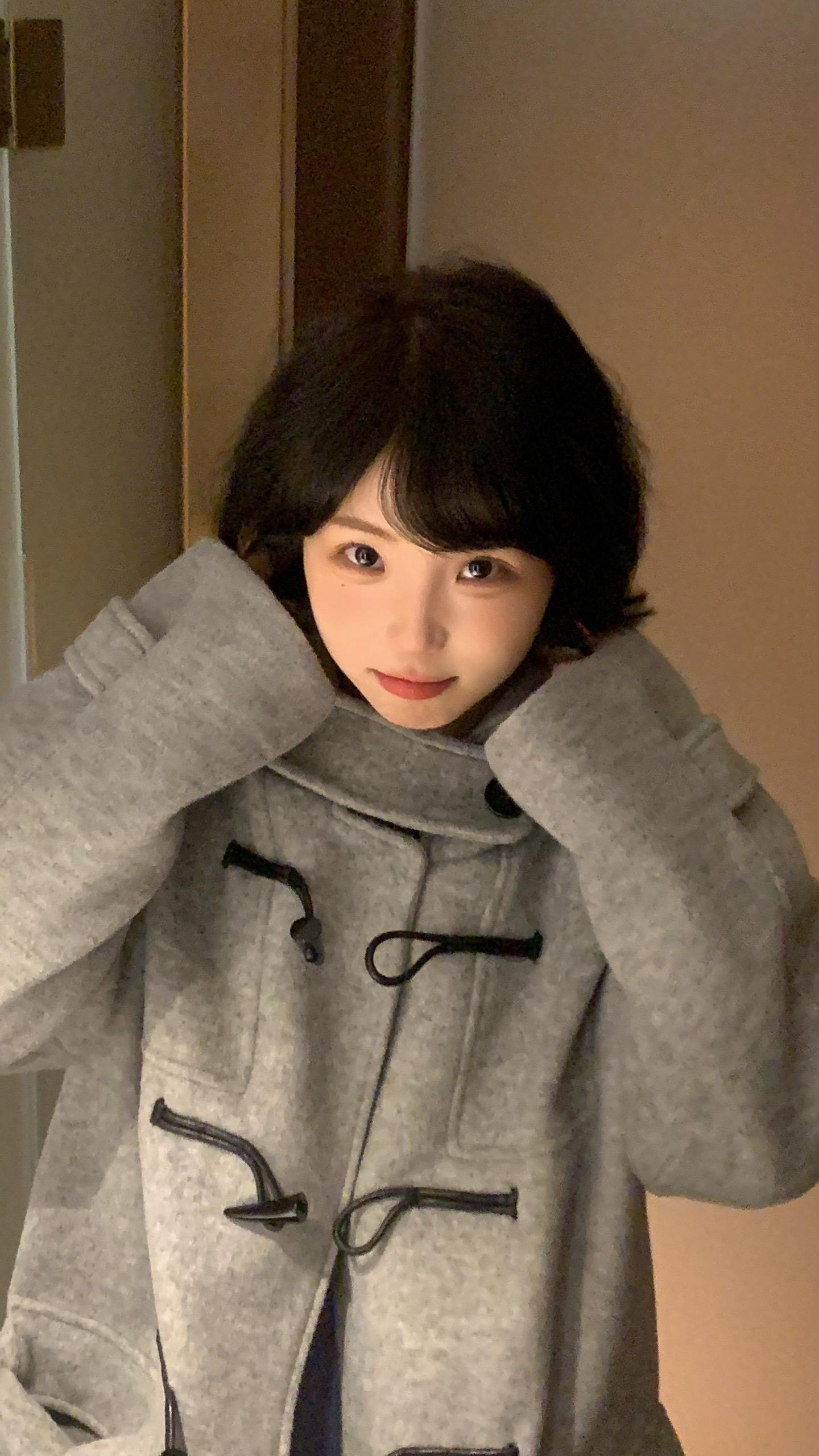 短毛小猫 🐈‍⬛