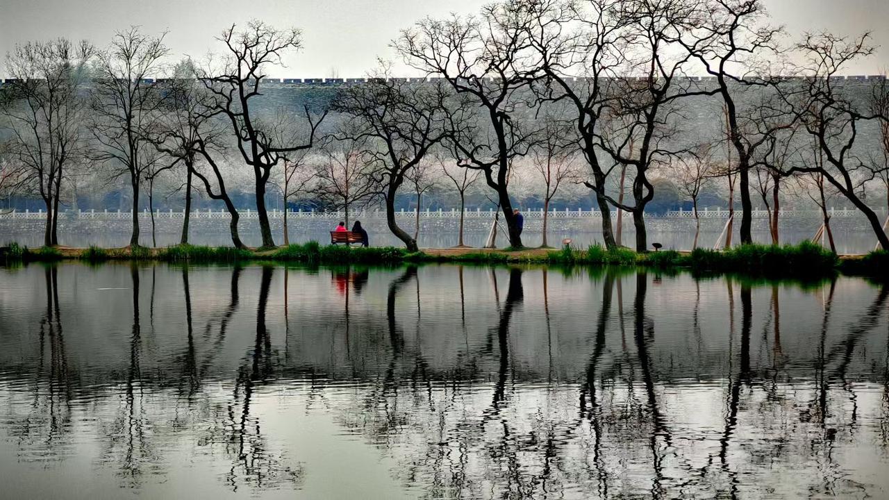 一湖春水，半岸疏林，偷得浮生半日闲，便是人间好时节。
树影摇春水，风过古城墙，人