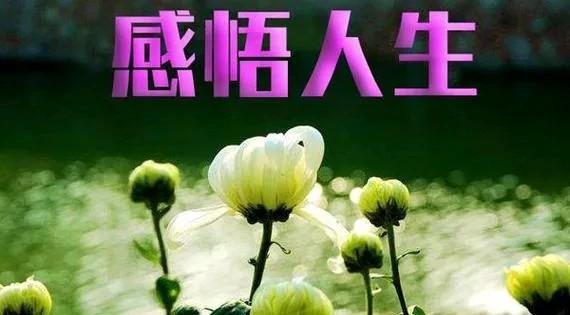 发现了吗？记住这十句话，你会受益一生！一、在你困难的时候离
第一、在你困难的时候