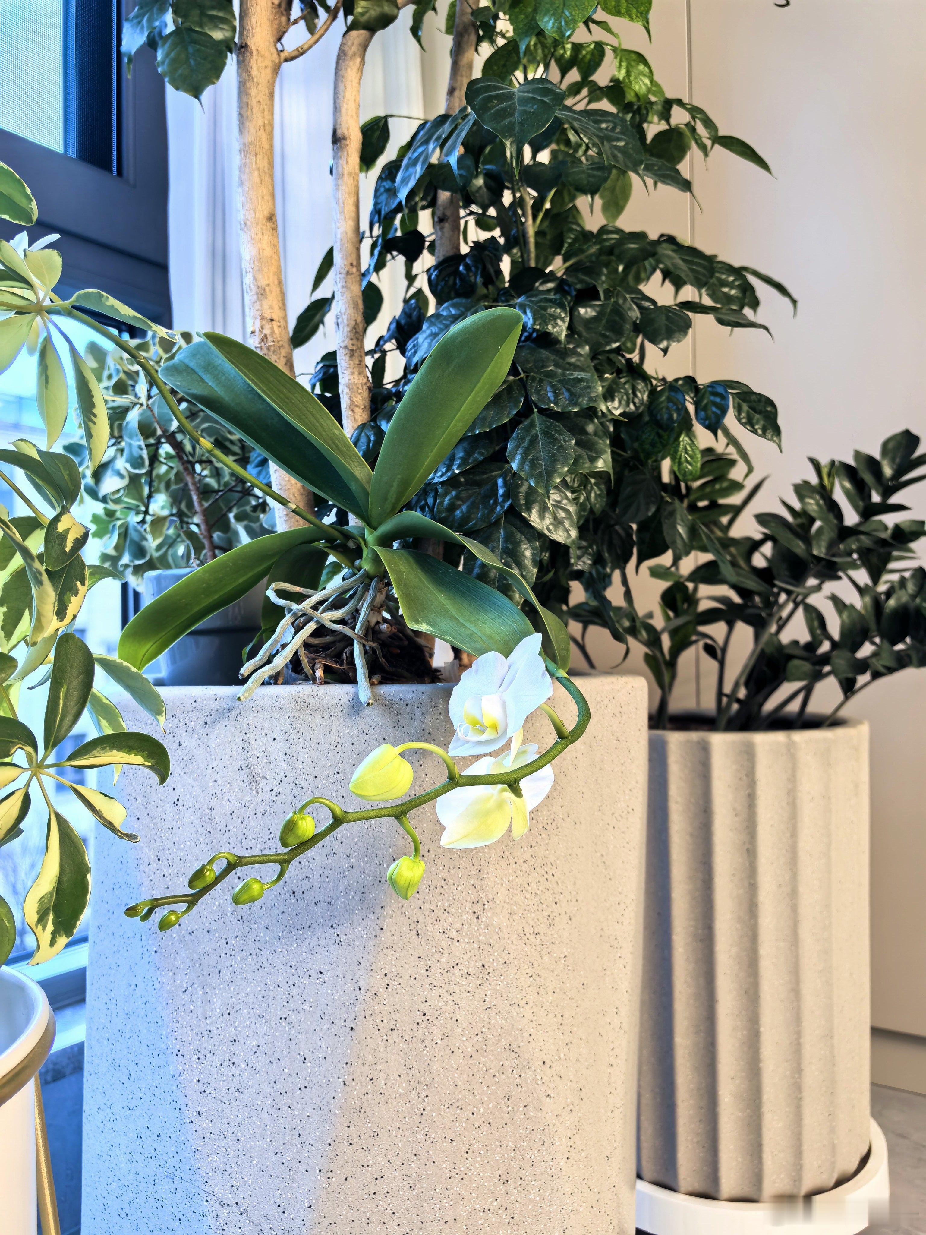 新壁纸  早安！ 